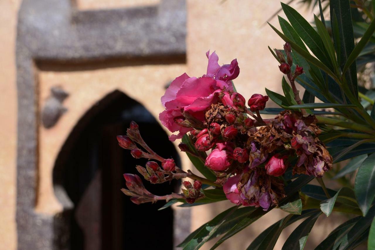 Haven La Chance Desert Hotel Merzouga Dış mekan fotoğraf